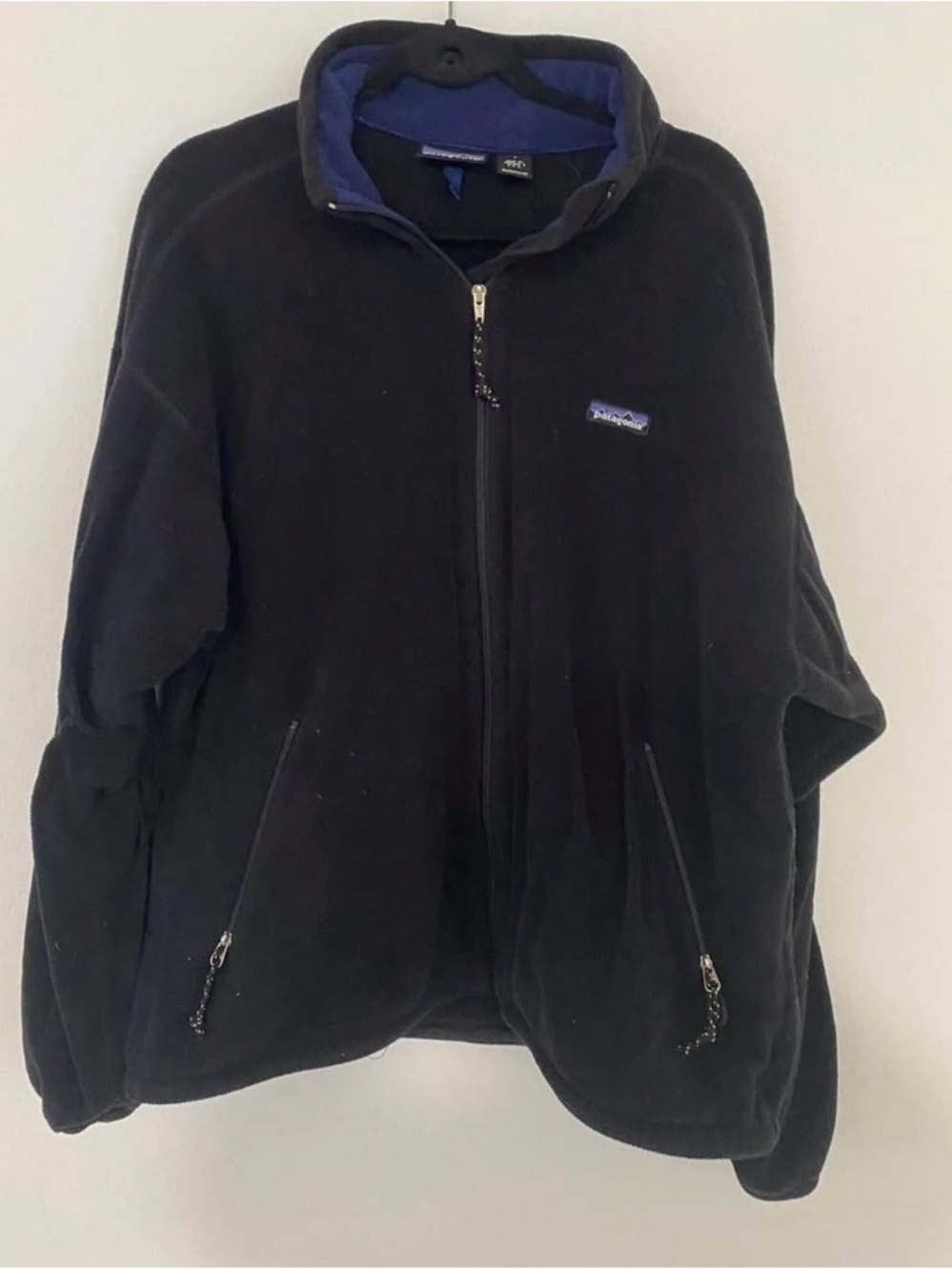 Patagonia Black Fleece Full-Zip Jacket with Blue Lining